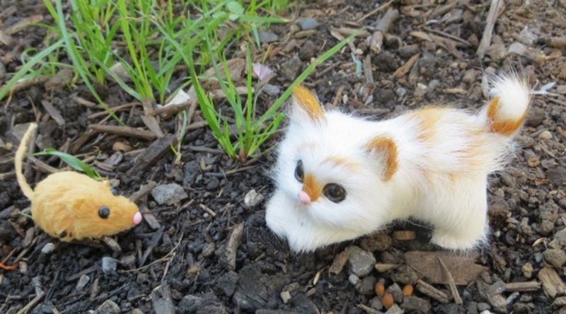 Katze und Maus Tierminiatur